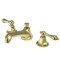 Kingston Brass KS4462AL 8" Widespread Bathroom Faucet, Polished Brass KS4462AL - alternate 1